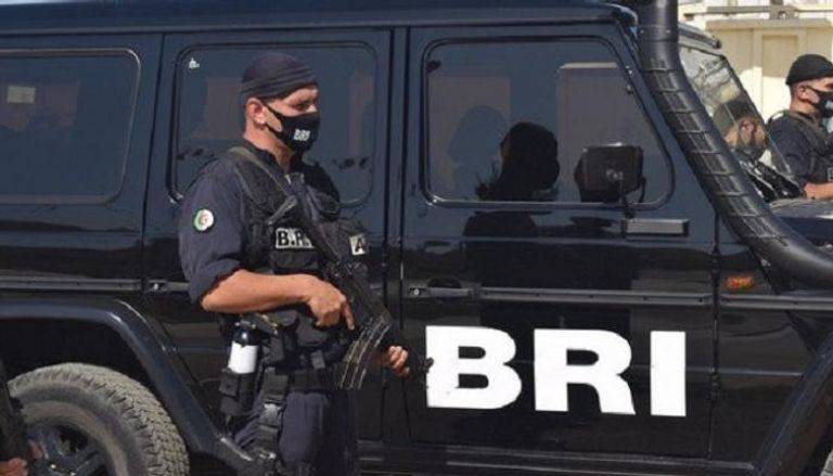 الجزائر ومسيرة عام من الحرب مع جماعة  الإخوان المسلمين