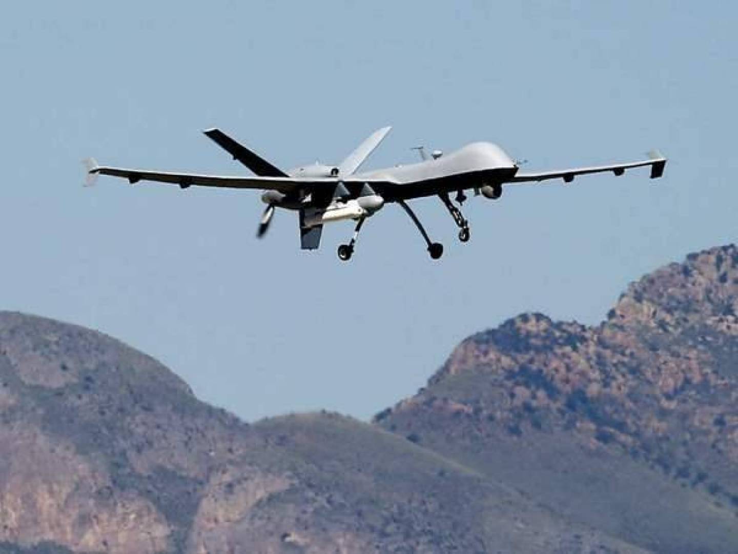 سامي الجميل..