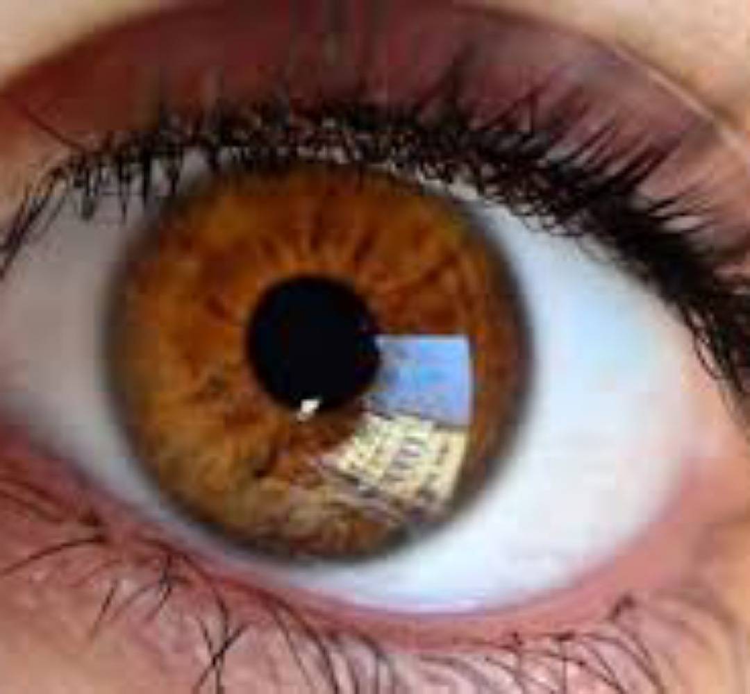 شبكية العين قد تكون مصدراً لتحديد موعد وفاتك.. اليكم التفاصيل