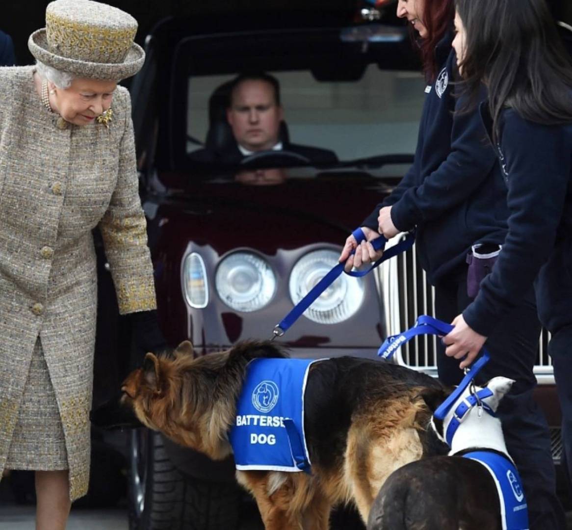 أكل طعام كلاب الملكة اليزابيث وأشاد بطعمه...هذا ما فعله وزير بريطاني وكشفه كتاب للصحفي روبرت هاردمان