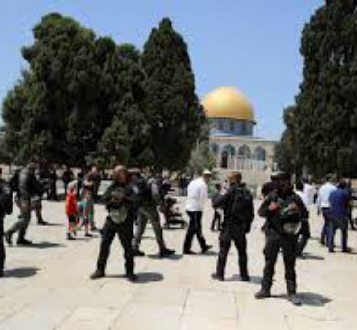 العدو الإسرائيلي يتهرب.. تهديدات المقاومة تفشل مخطط ذبح القرابين في المسجد الأقصى..