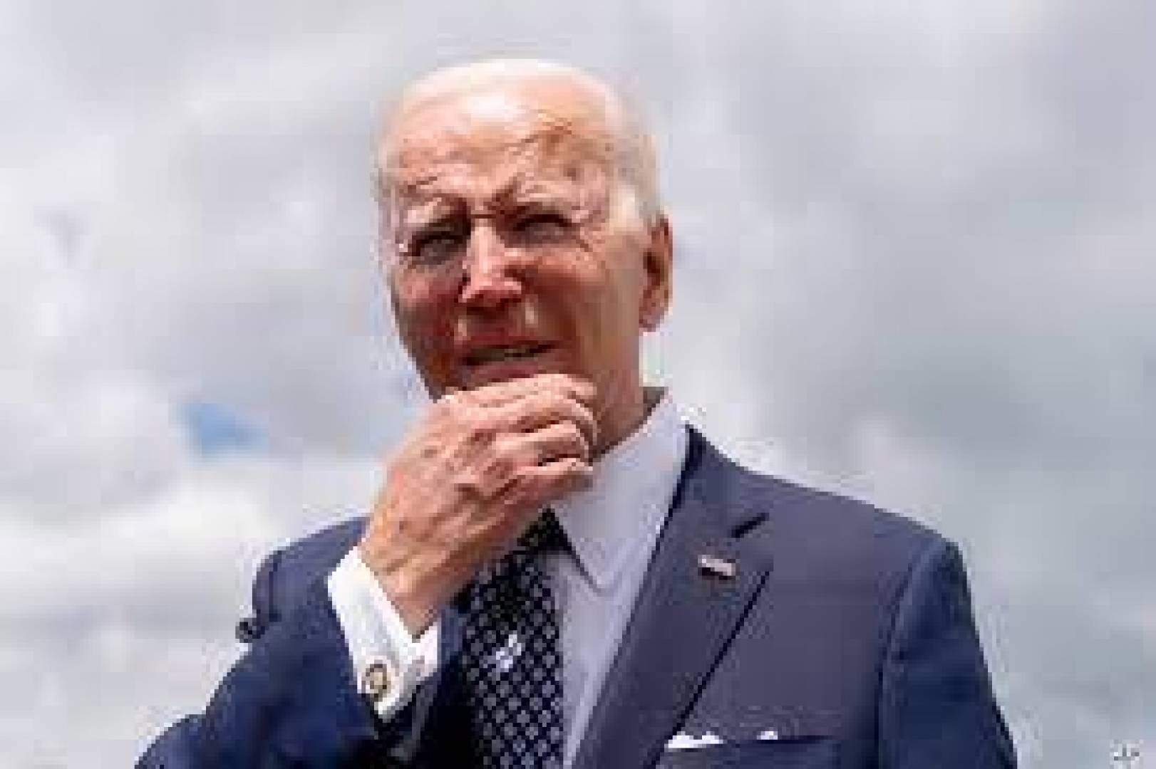 خنزير واشنطن