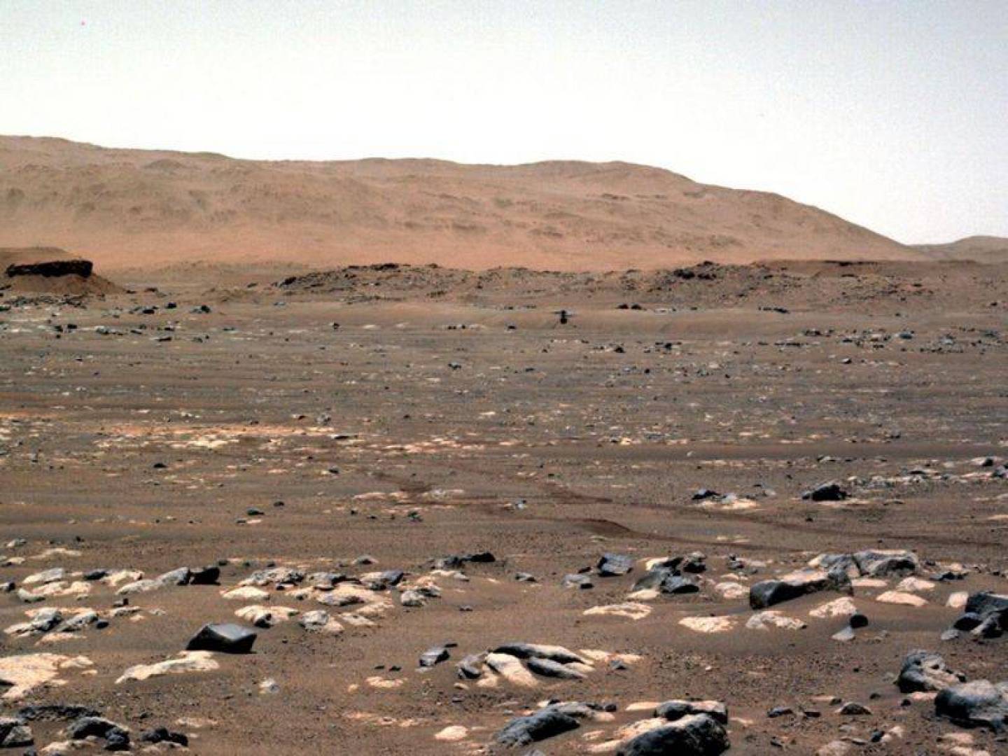 المركبة Sojourner أول مركبة فضائية جوالة تهبط على المريخ منذ ربع قرن