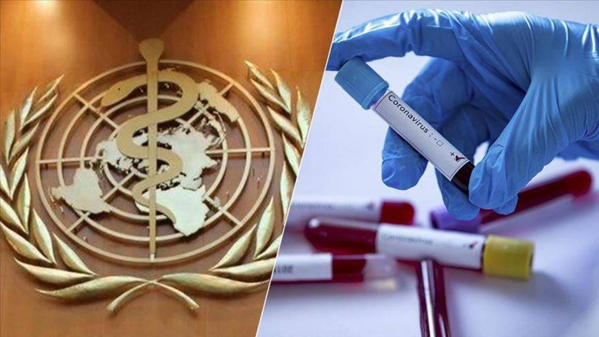 مدير منظمة الصحة العالمية: تضاعف الإصابات والوفيات بفيروس كورونا خلال الأسابيع الماضية