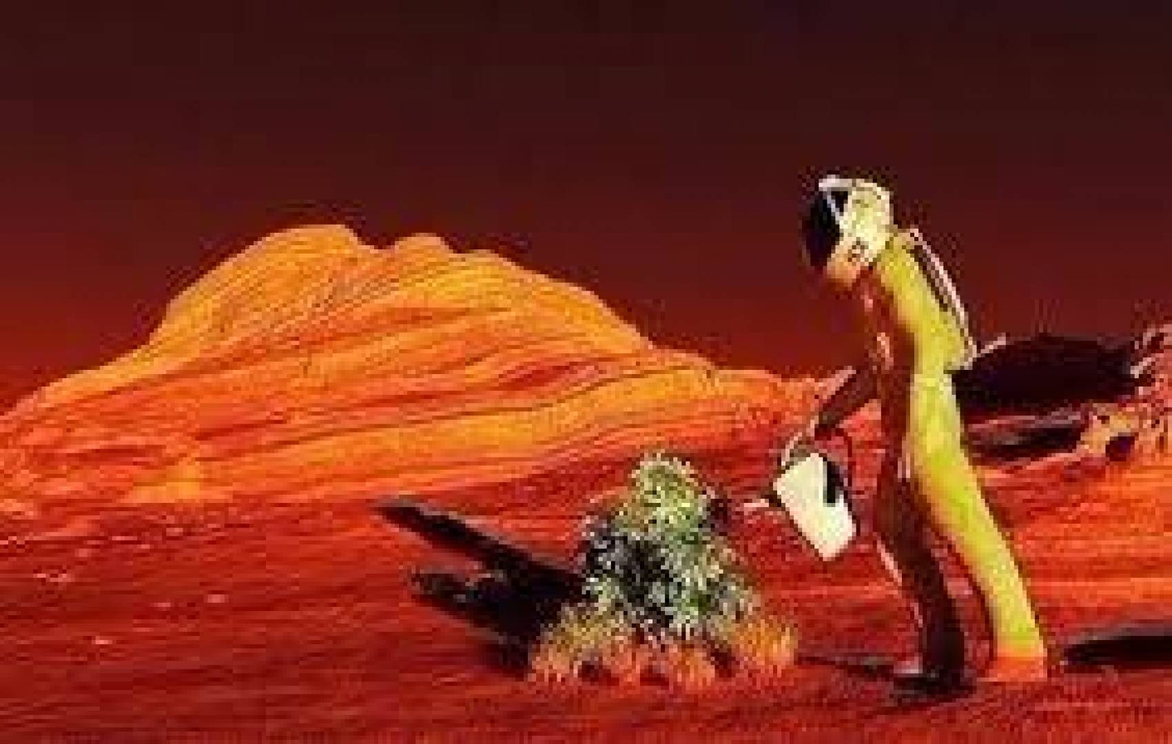 باحثون يضعون خطة لزراعة النباتات على المريخ