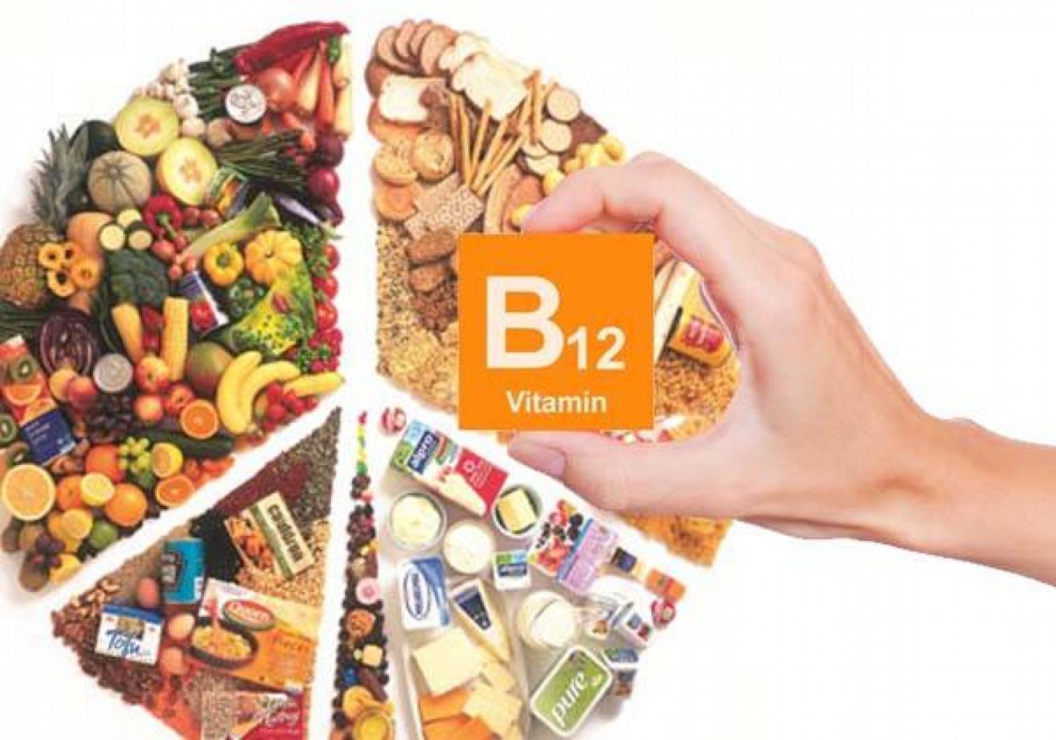 أفضل المصادر الغذائية لفيتامين B12