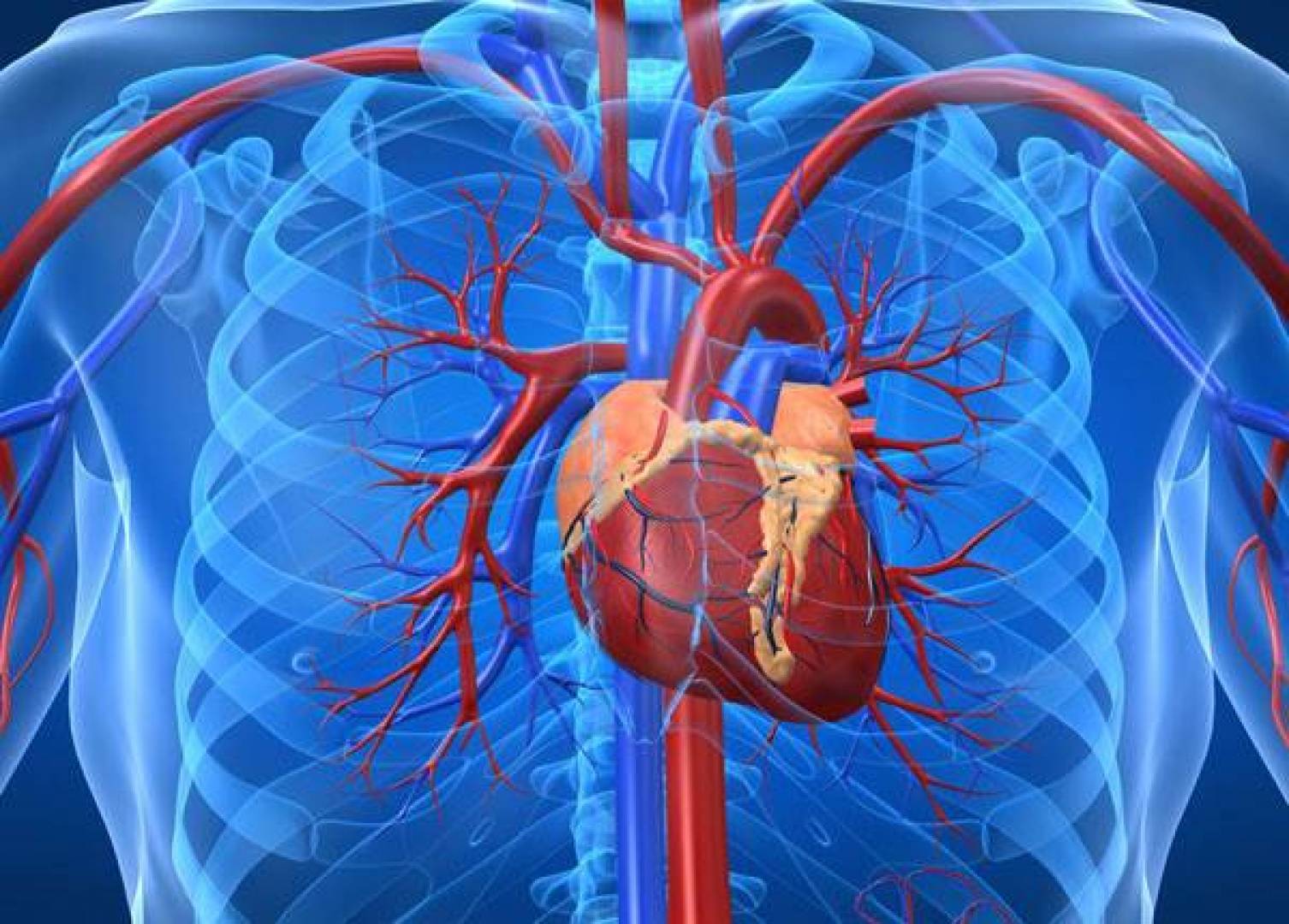 انواع أمراض القلب واعراض النوبة القلبية وطرق تجنبها