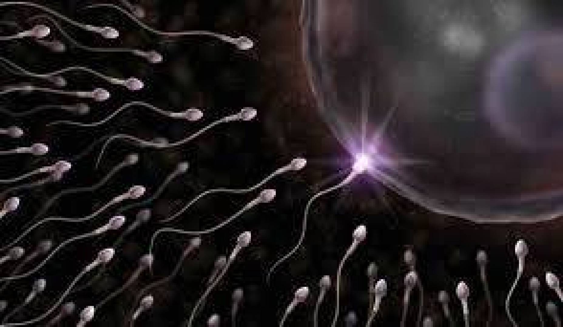 ماهو العمر المثالي للإخصاب عند الذكور ومالعوامل التي تؤثر عليه