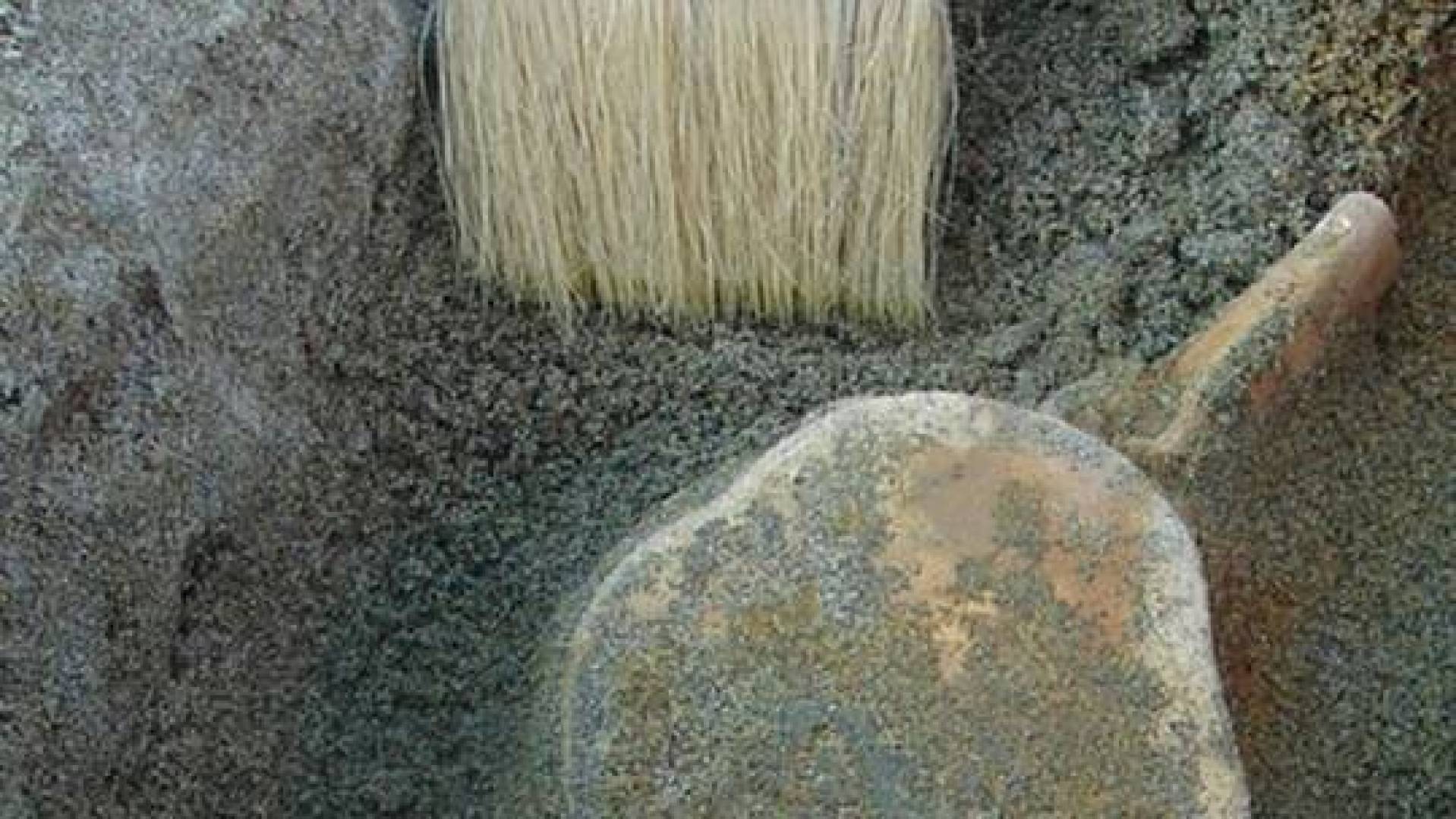 علماء أحافير يعثرون على بقايا موزاصور في روسيا