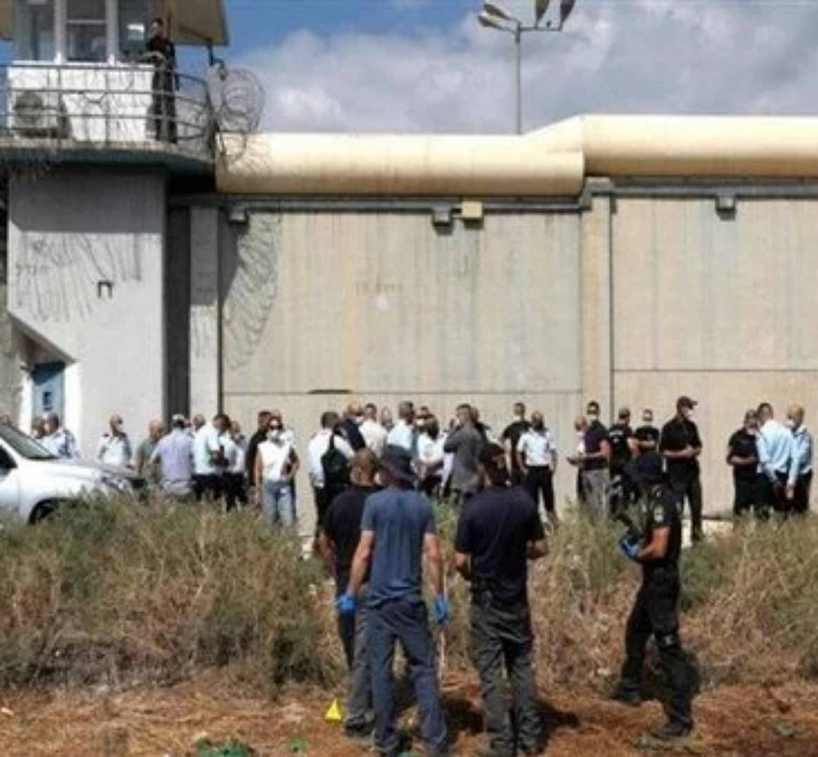 عملية طعن داخل سجن ريمون بطلتها مقاومة فلسطينية
