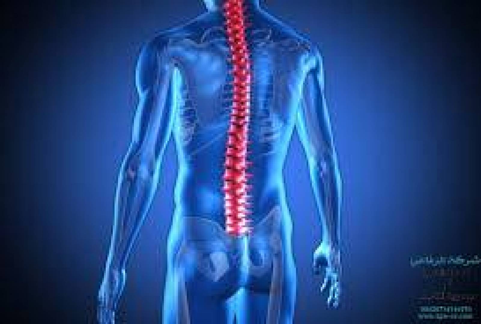 ابتكار طريقة لإصلاح الألياف التالفة في العمود الفقري .. إليك التفاصيل