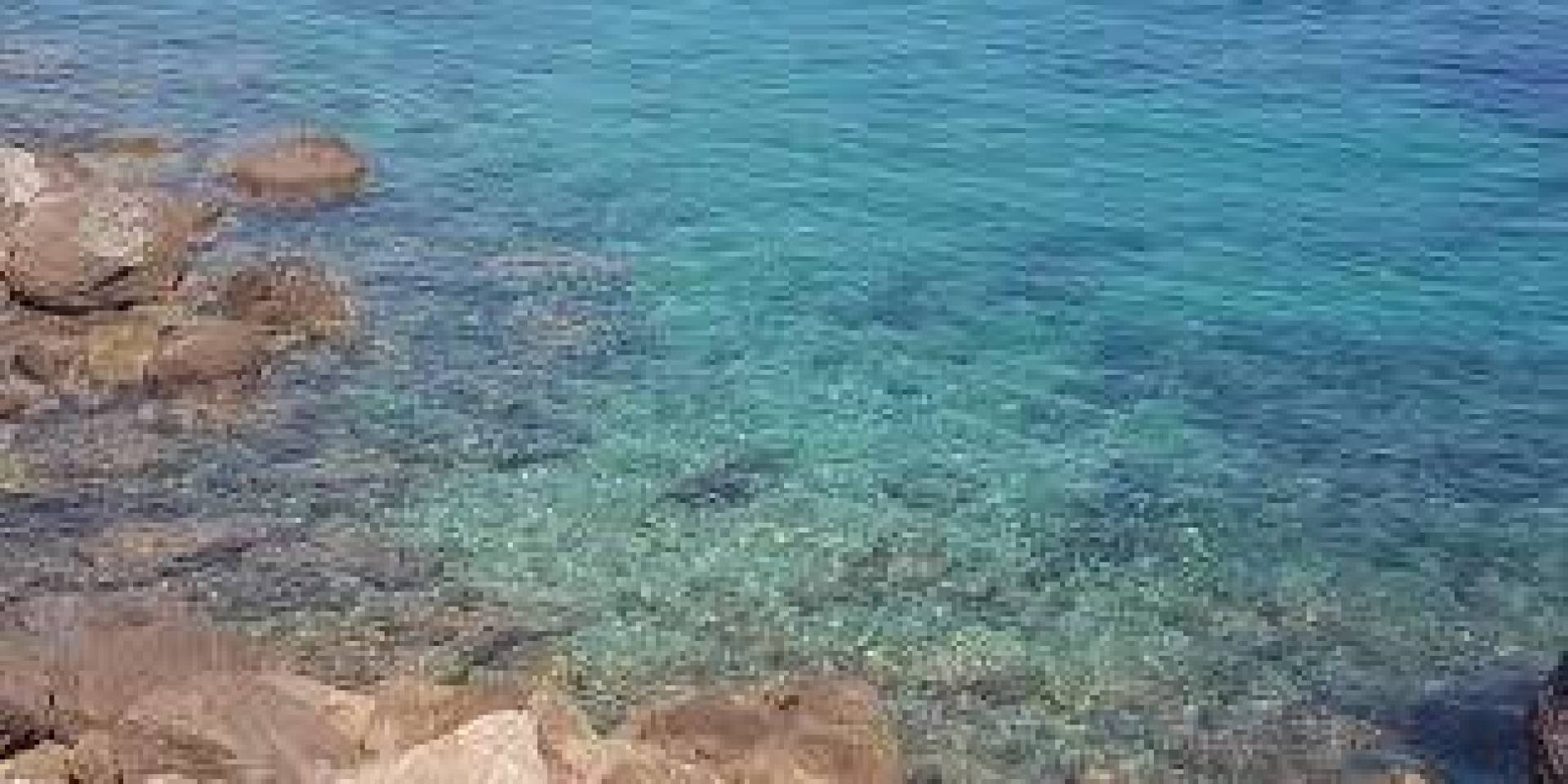 جزر المالديف : اكتشاف واحة للحياة مخفية في أعماق المحيط