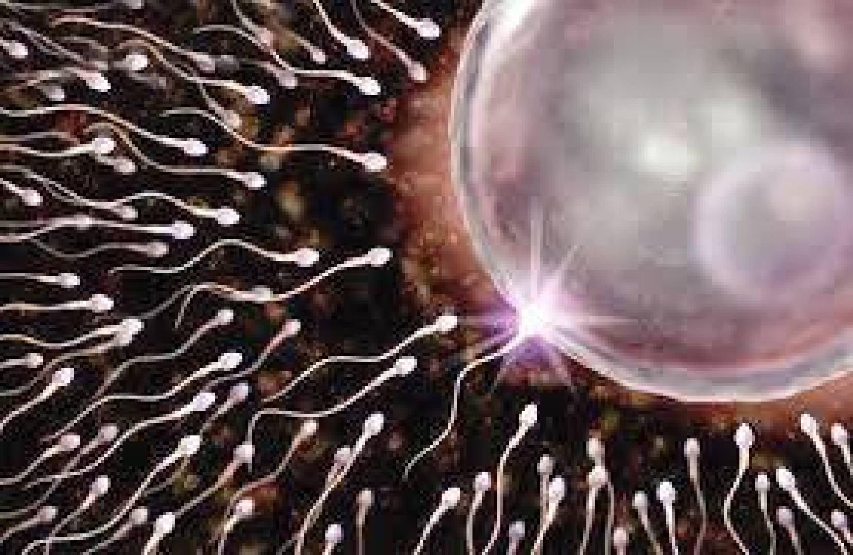 عادات يومية تقلل عدد الحيوانات المنوية عند الرجال .. إليك أهمها