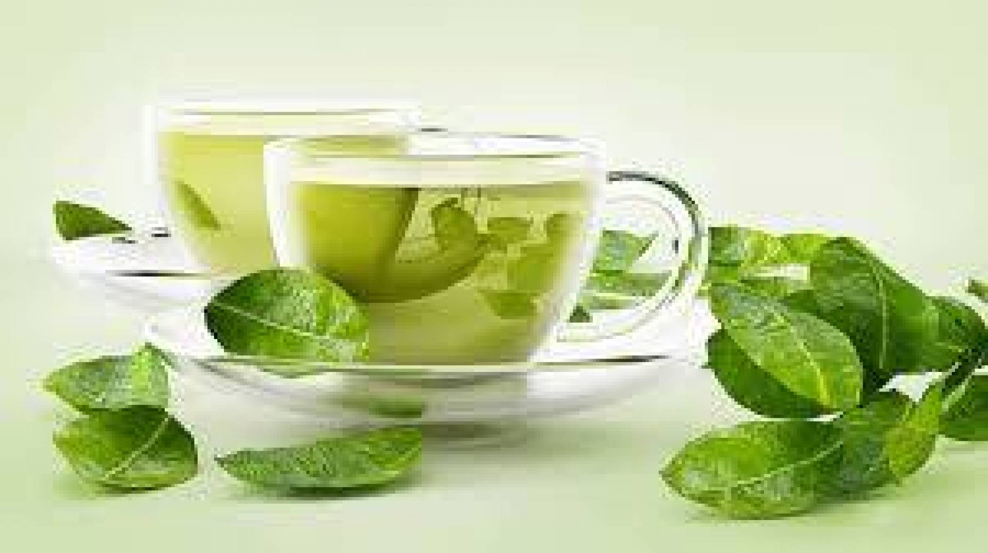 الشاي الأخضر يطيل العمر ويقلل خطر الوفاة