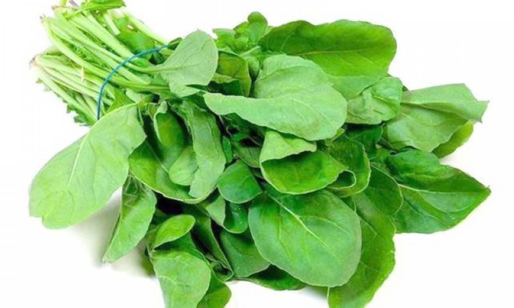 يحسن صحة القلب والعظام والعديد من الفوائد الصحية للجرجير.. تعرف عليها