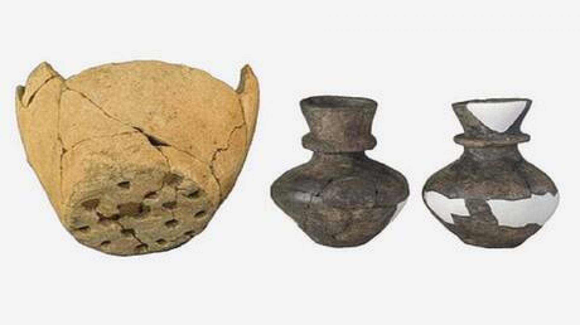 اكتشاف أدلة على استهلاك منتجات الألبان في العصر الحجري الحديث