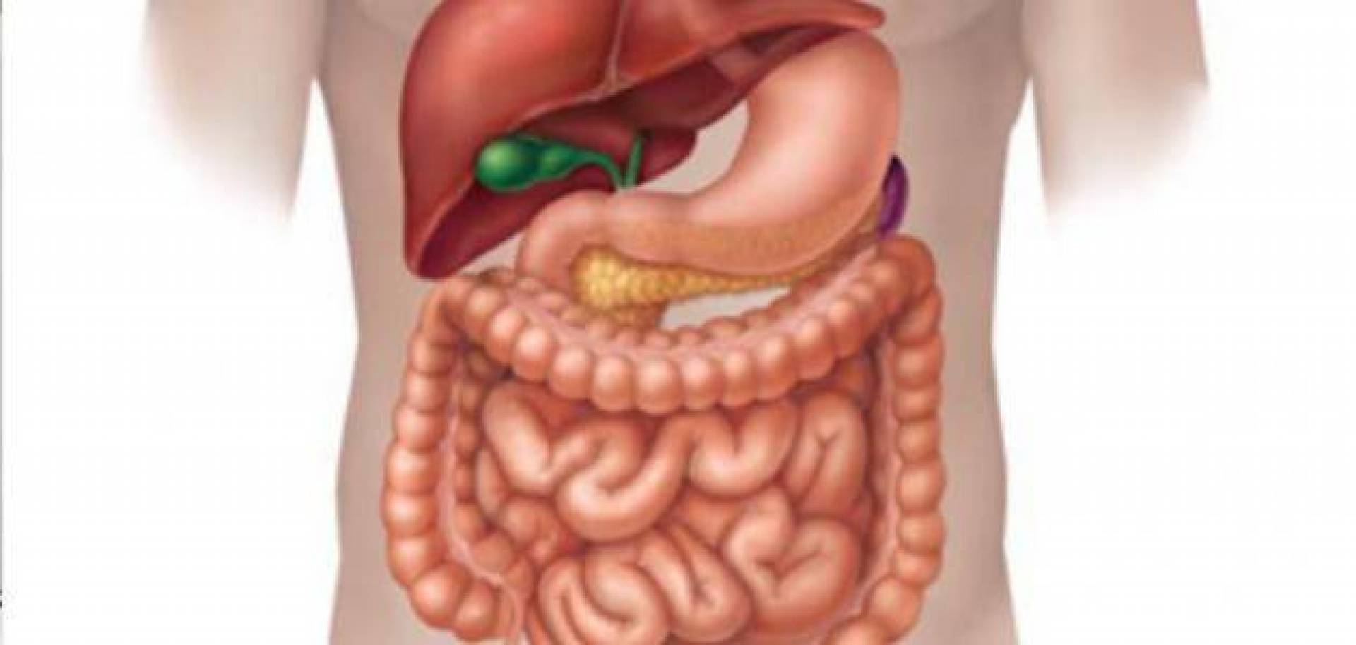لتحسين صحة الأمعاء .. اتبع هذه النصائح الهامة