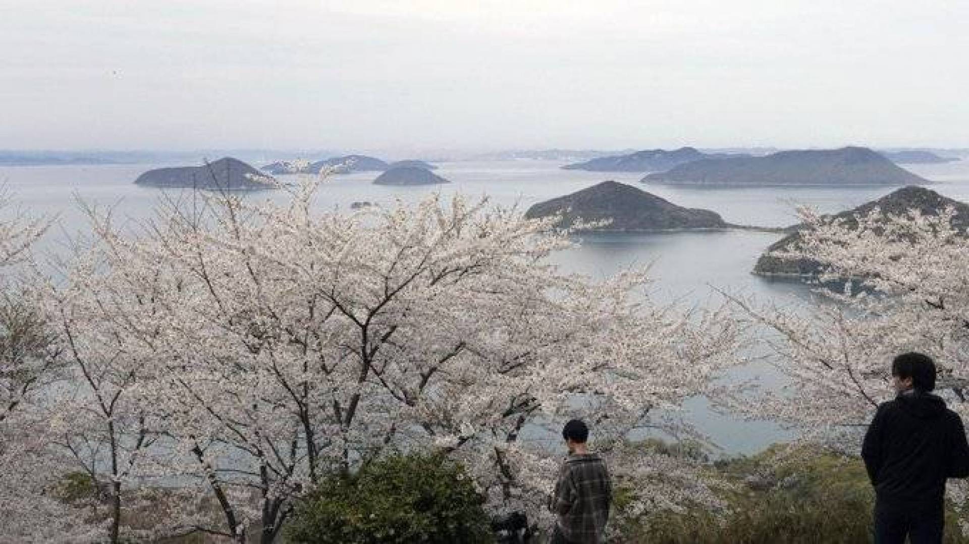 اليابان تكتشف 7 آلاف جزيرة جديدة بفضل تقنية خرائط المسح المتقدمة