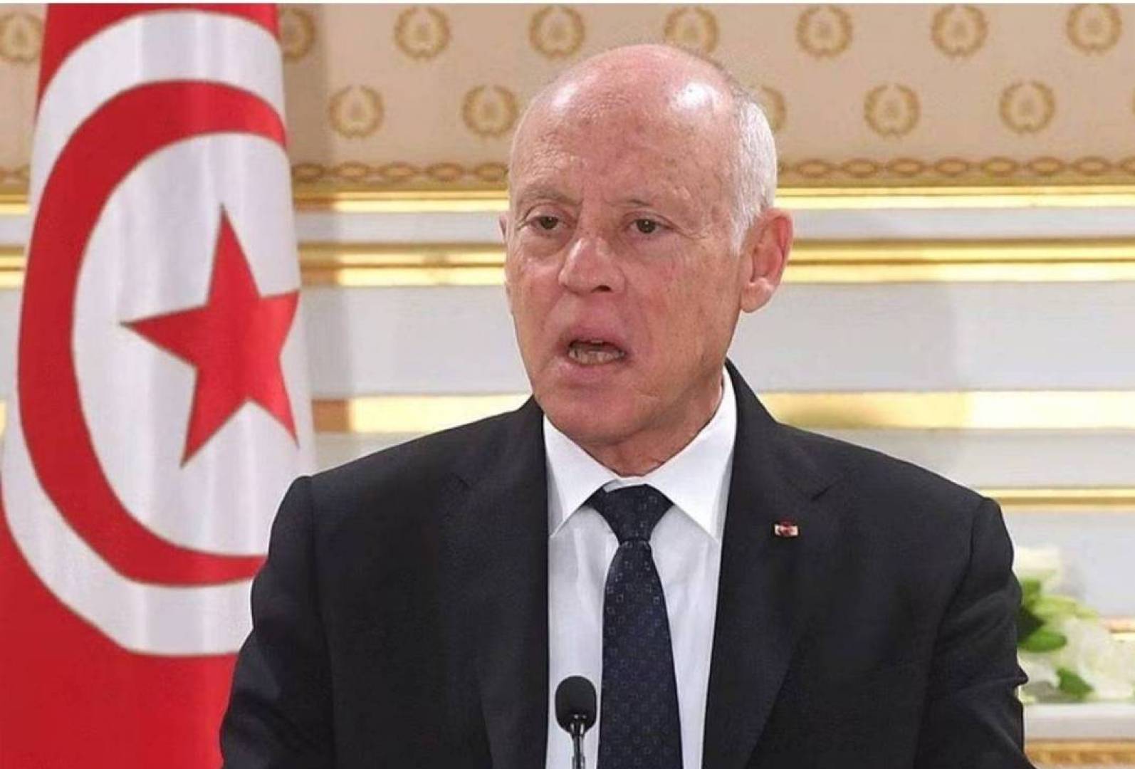 عبر المهاجرين.. الرئيس التونسي يتحدث عن مؤامرة لتغيير التركيبة الديموغرافية في البلاد