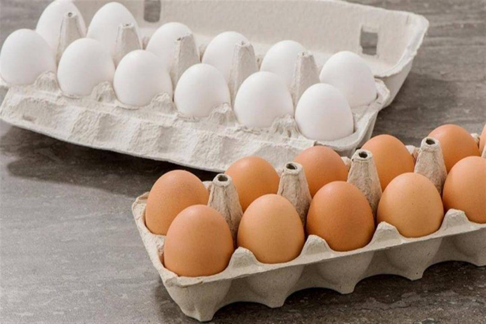 ماهو الفرق بين البيض البني و الأبيض وأيهما أكثر فائدة صحية ؟