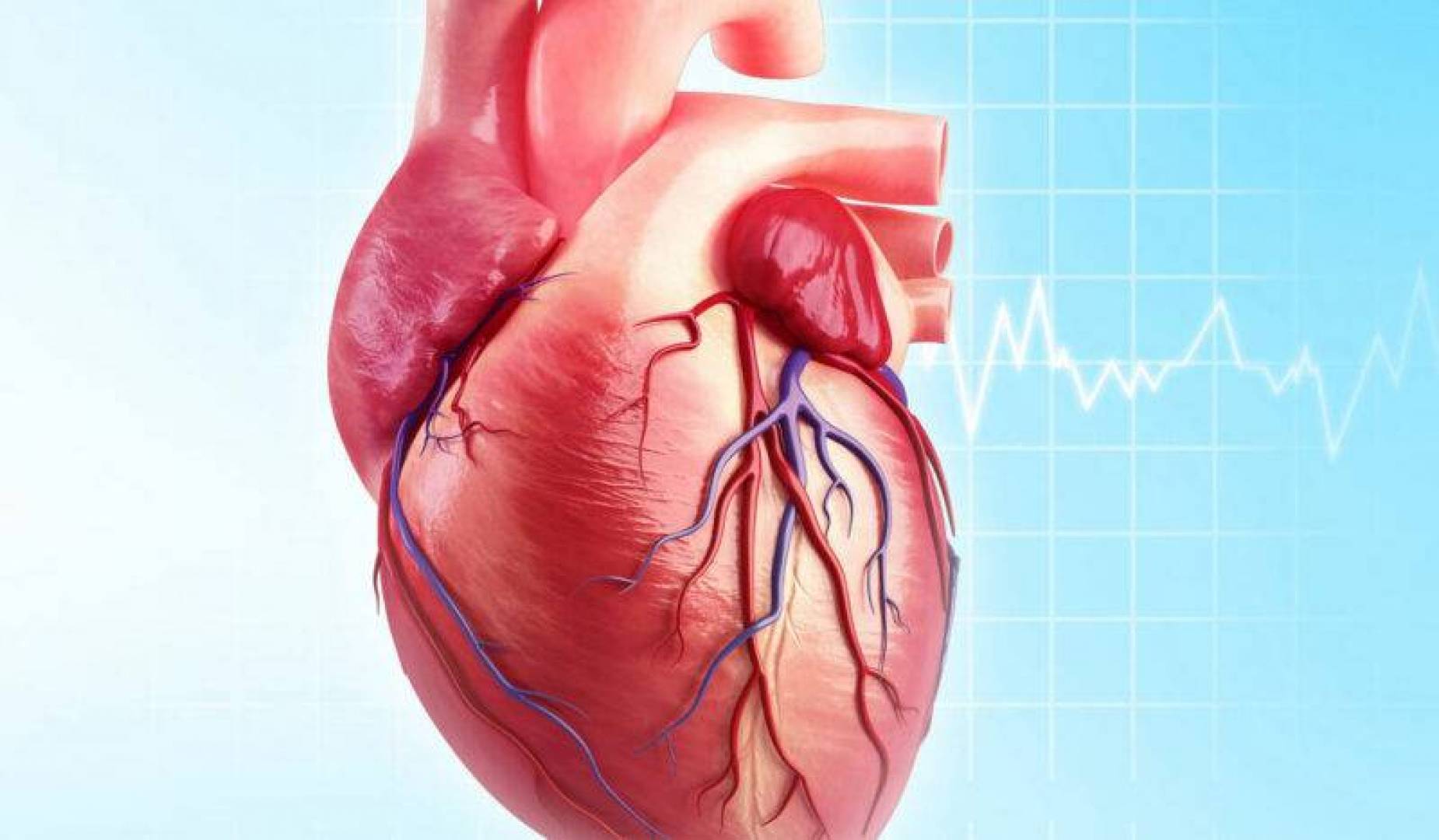 اختبار كيميائي مناعي جديد يكشف عن قصور القلب بسرعة