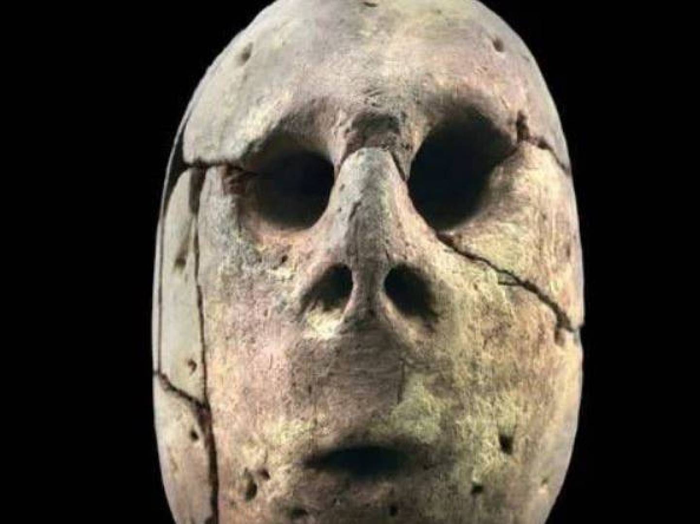 مصر تستعرض أقدم رأس أثرية في تاريخ حضارتها القديمة