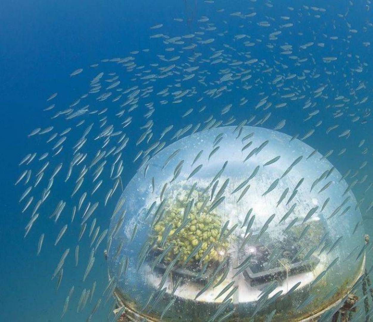 تعرف على حديقة 