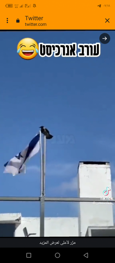 شاهد بالفيديو غراب ينتزع علم إسرائيل ويرميه أرضا