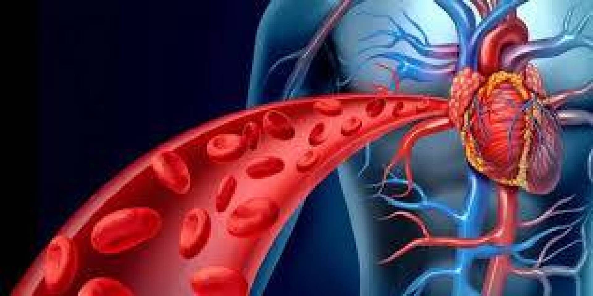 تعرف على الأغذية المفيدة والضارة لصحة الشرايين