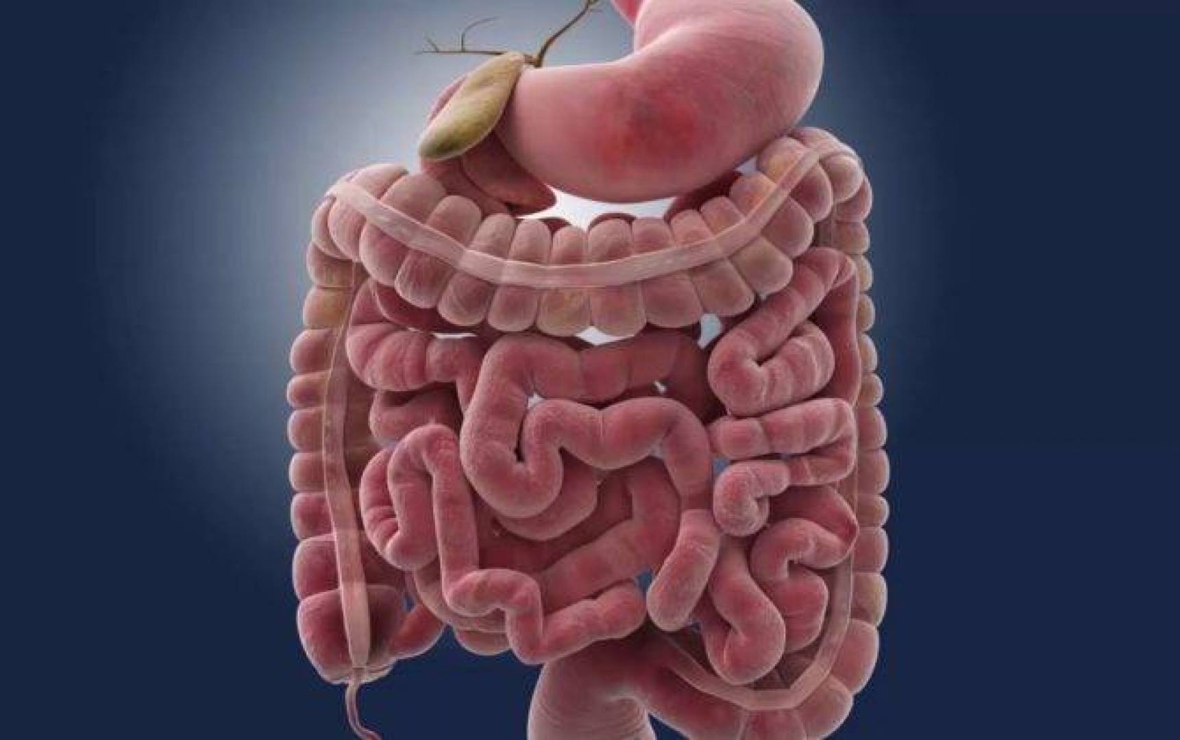 علامات إنذار مبكرة تشير إلى ارتفاع خطر الإصابة بسرطان الأمعاء