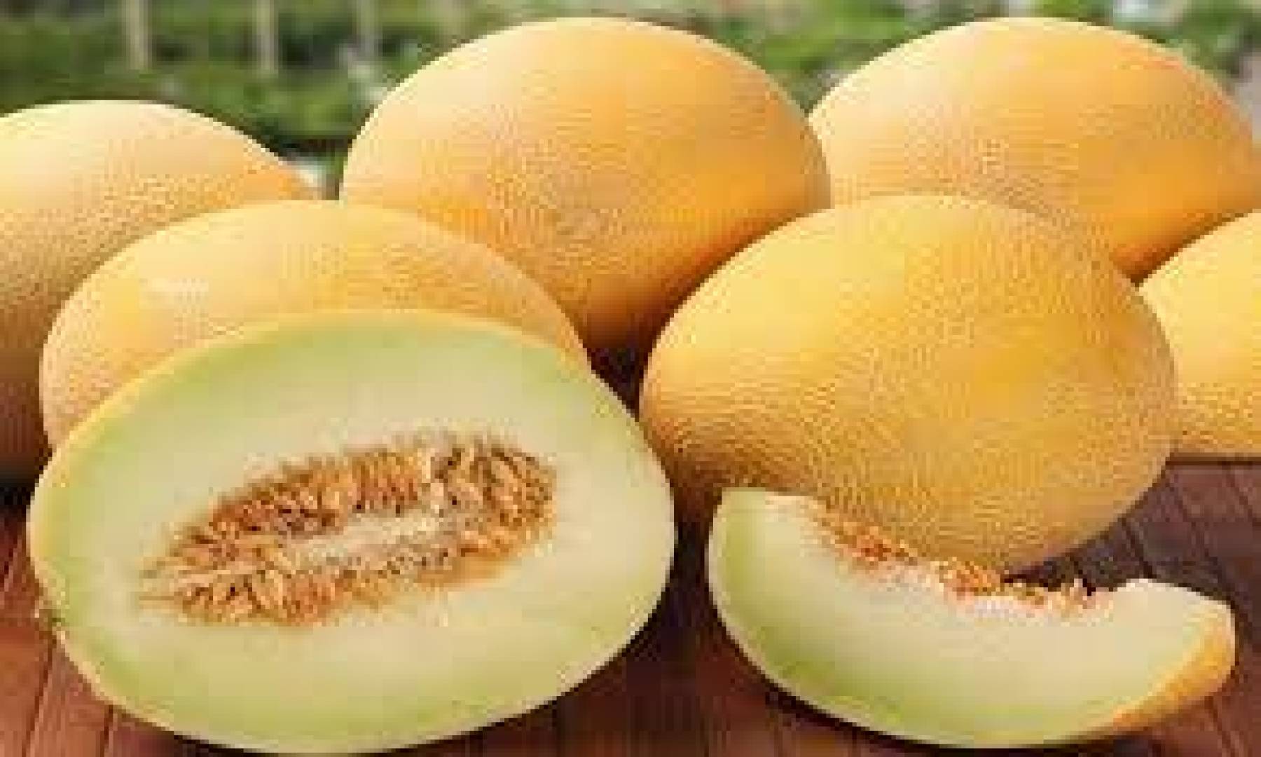 العناصر الغذائية الموجودة في البطيخ الأصفر وفوائدها الصحية