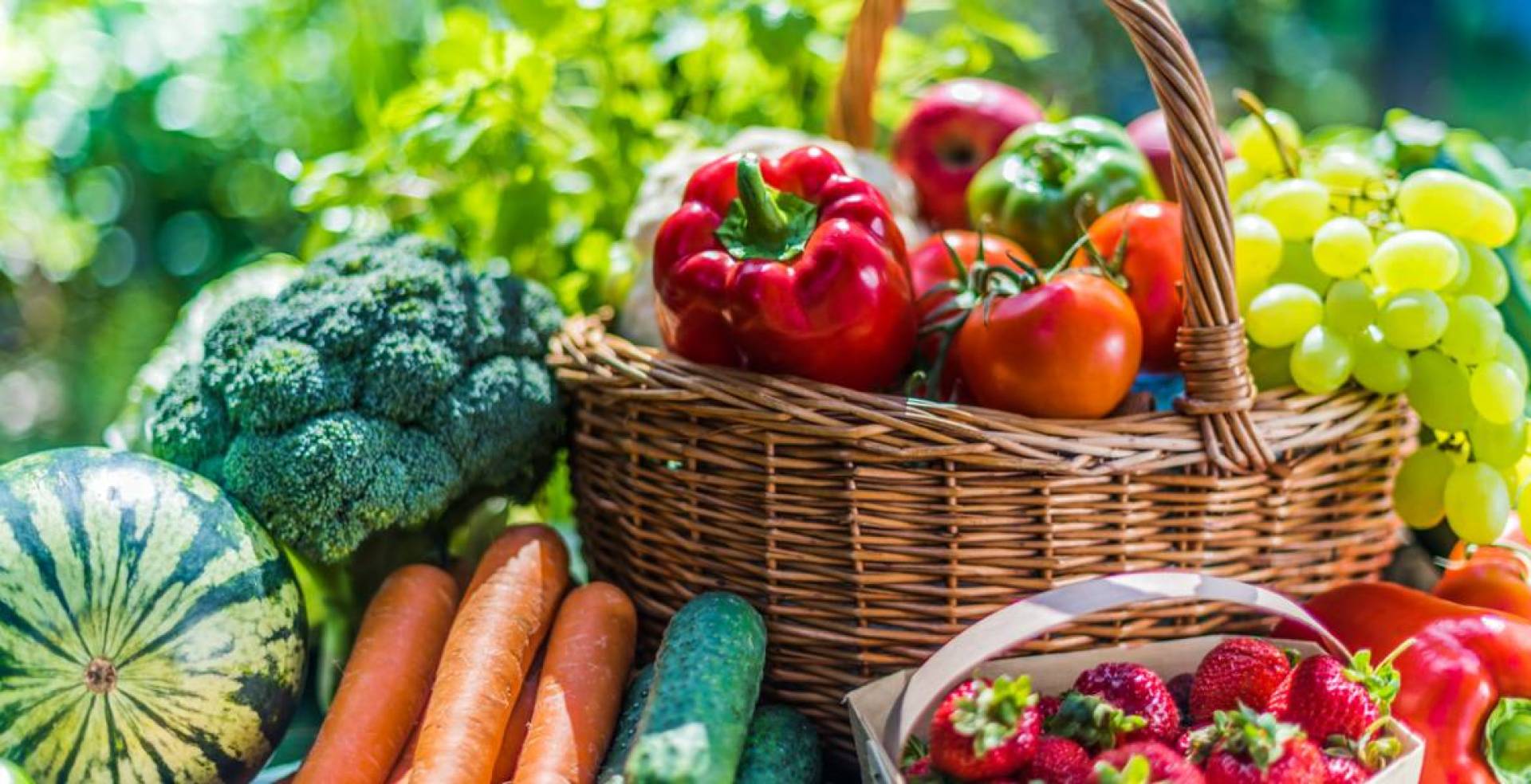 خطوات بسيطة لتحويل نمط غذائك الصحي إلى الأفضل مع حمية هارفارد الغذائية