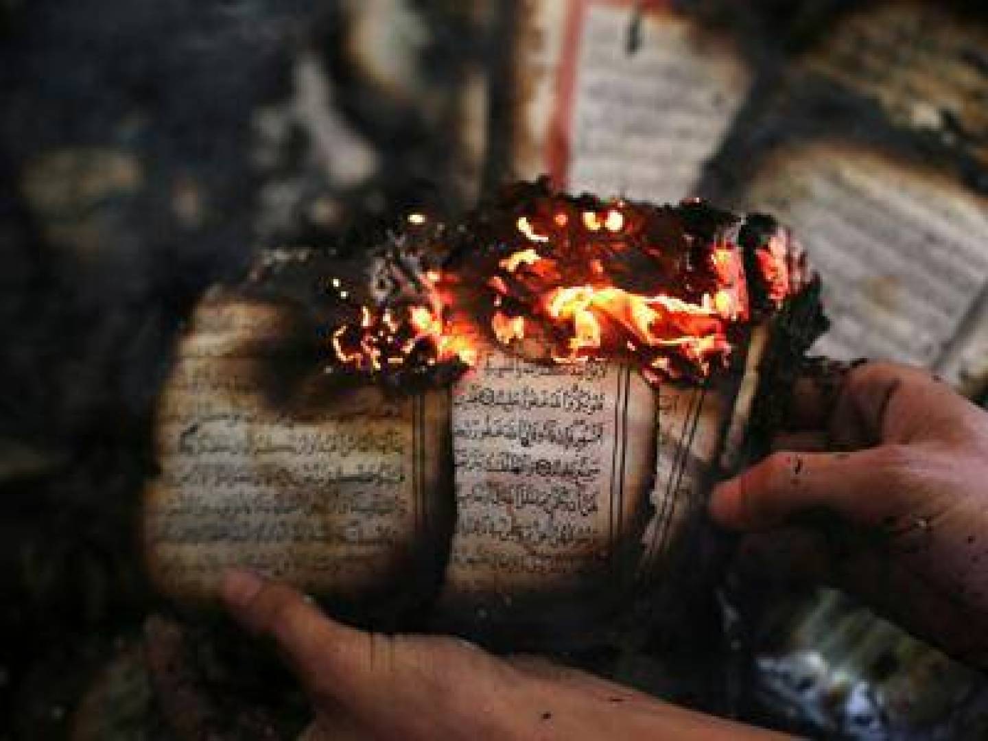 كتب الأساذ حليم خاتون: حراق القرآن، جريمة ضد الإنسانية