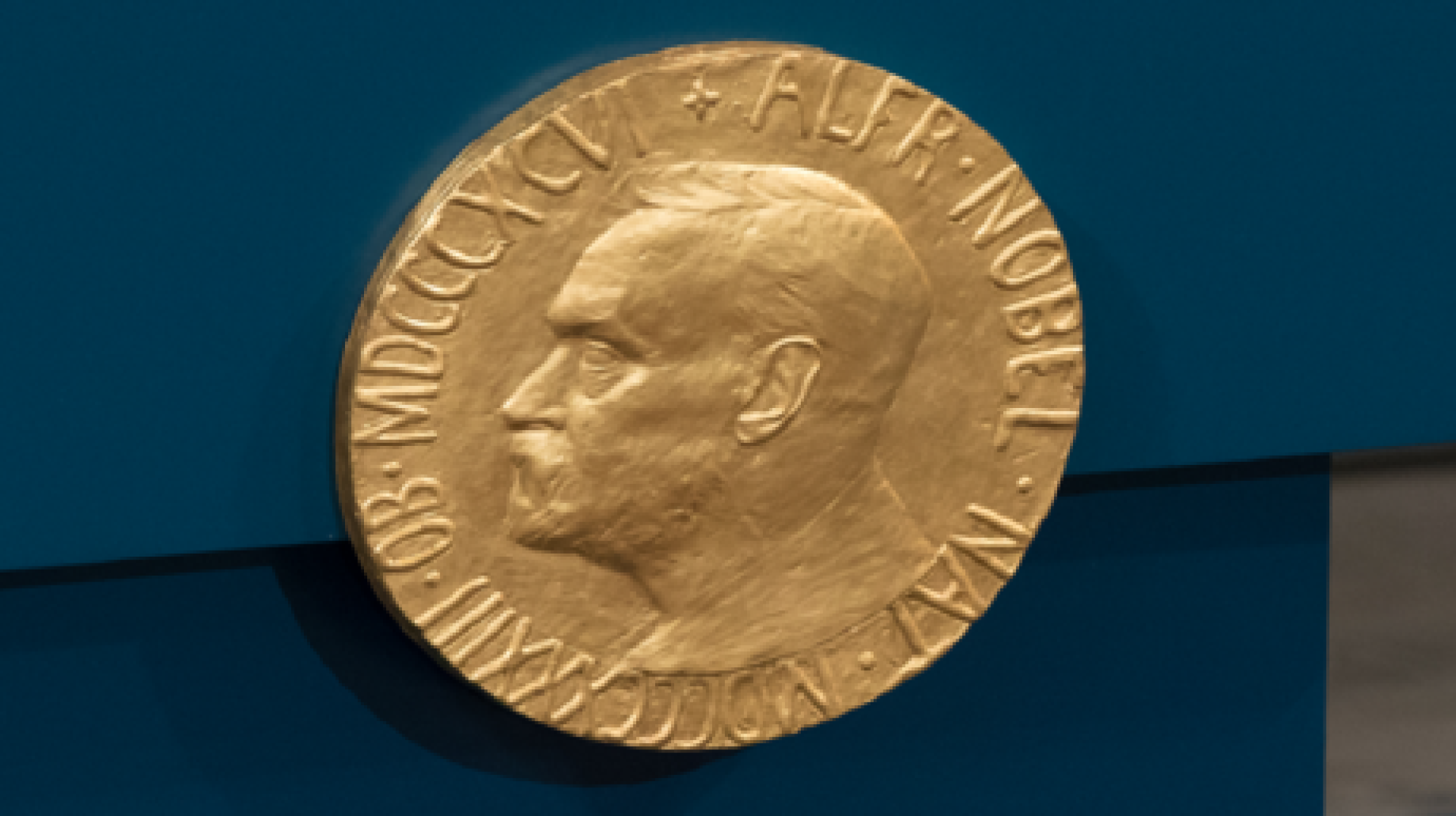 ما هي آثار جوائز نوبل على إنتاجية الفائزين البحثية؟ دراسة تكشف الحقيقة