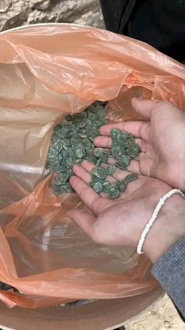 اكتشاف كنز نقدي ثمين في الجزائر يعود إلى القرنين الرابع والسادس ميلادي (صور)