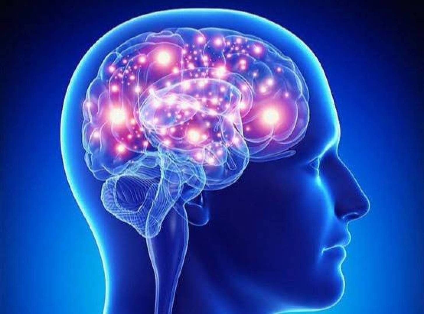 العزلة الاجتماعية ونقص الاتصالات تؤدي إلى صغر حجم الدماغ لدى كبار السن