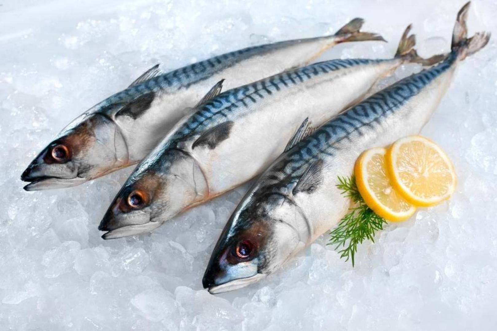 أكثر أنواع الأسماك الصحية التي يجب تناولها ودمجها في نظامك الغذائي