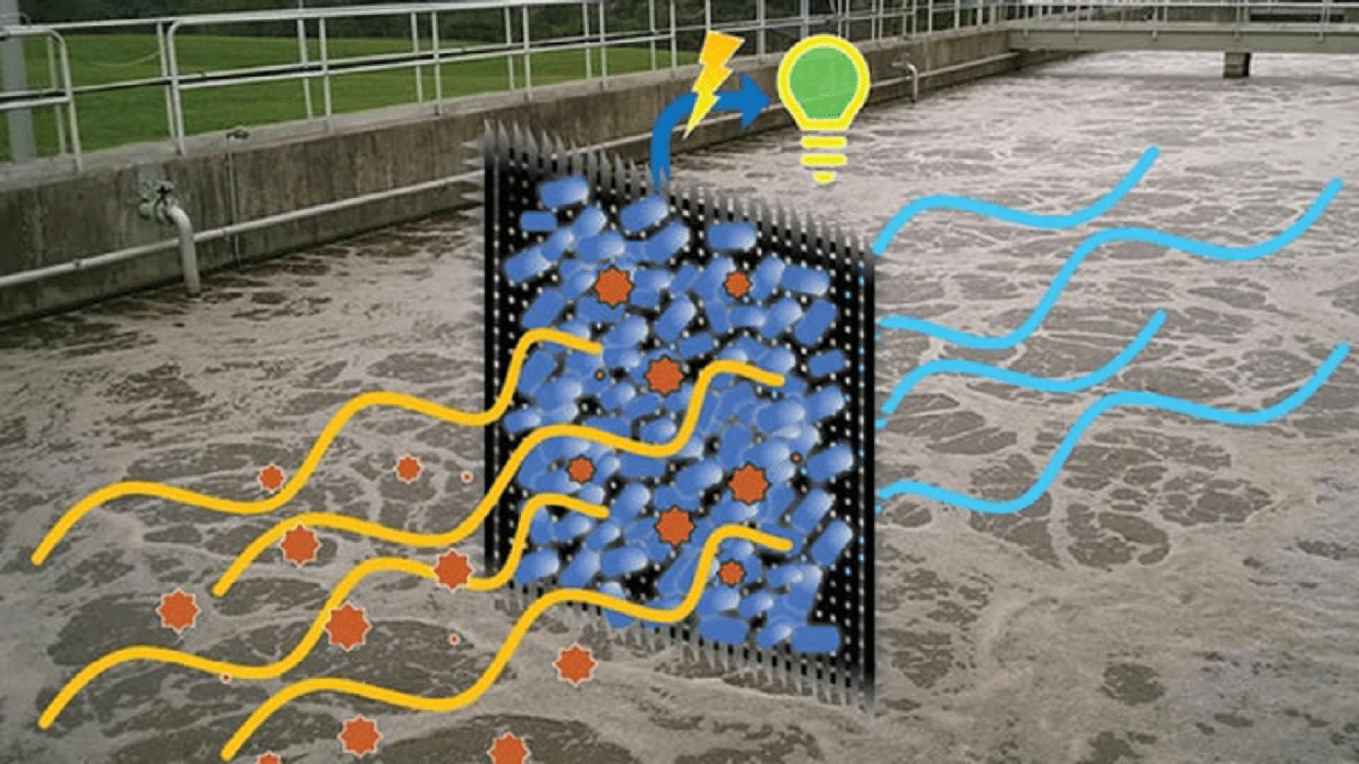 البكتيريا الإشريكية القولونية: مفتاح لتوليد الكهرباء من مياه الصرف الصحي