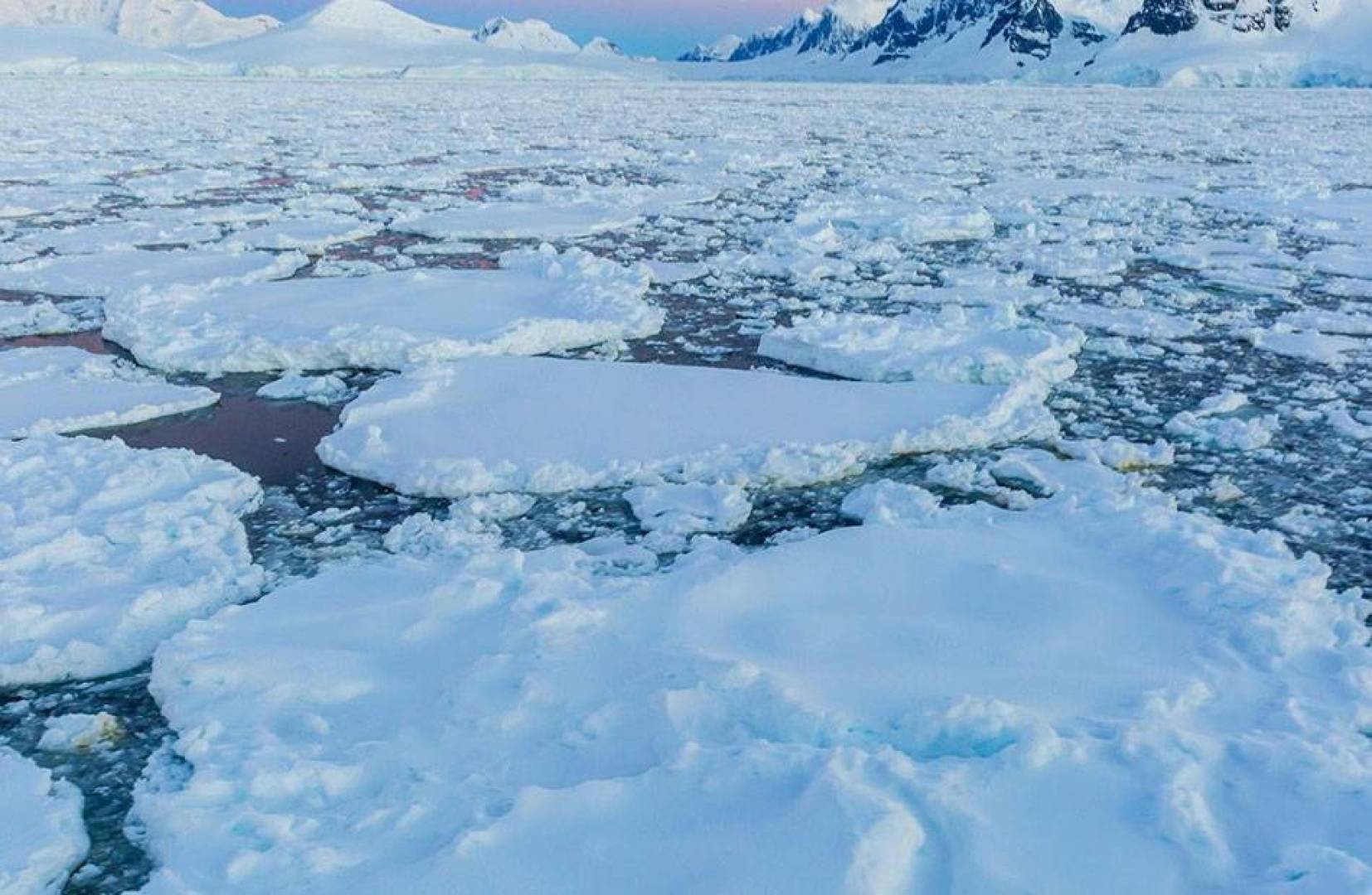 تأثير ذوبان القطب الجنوبي على البيئة والمناخ