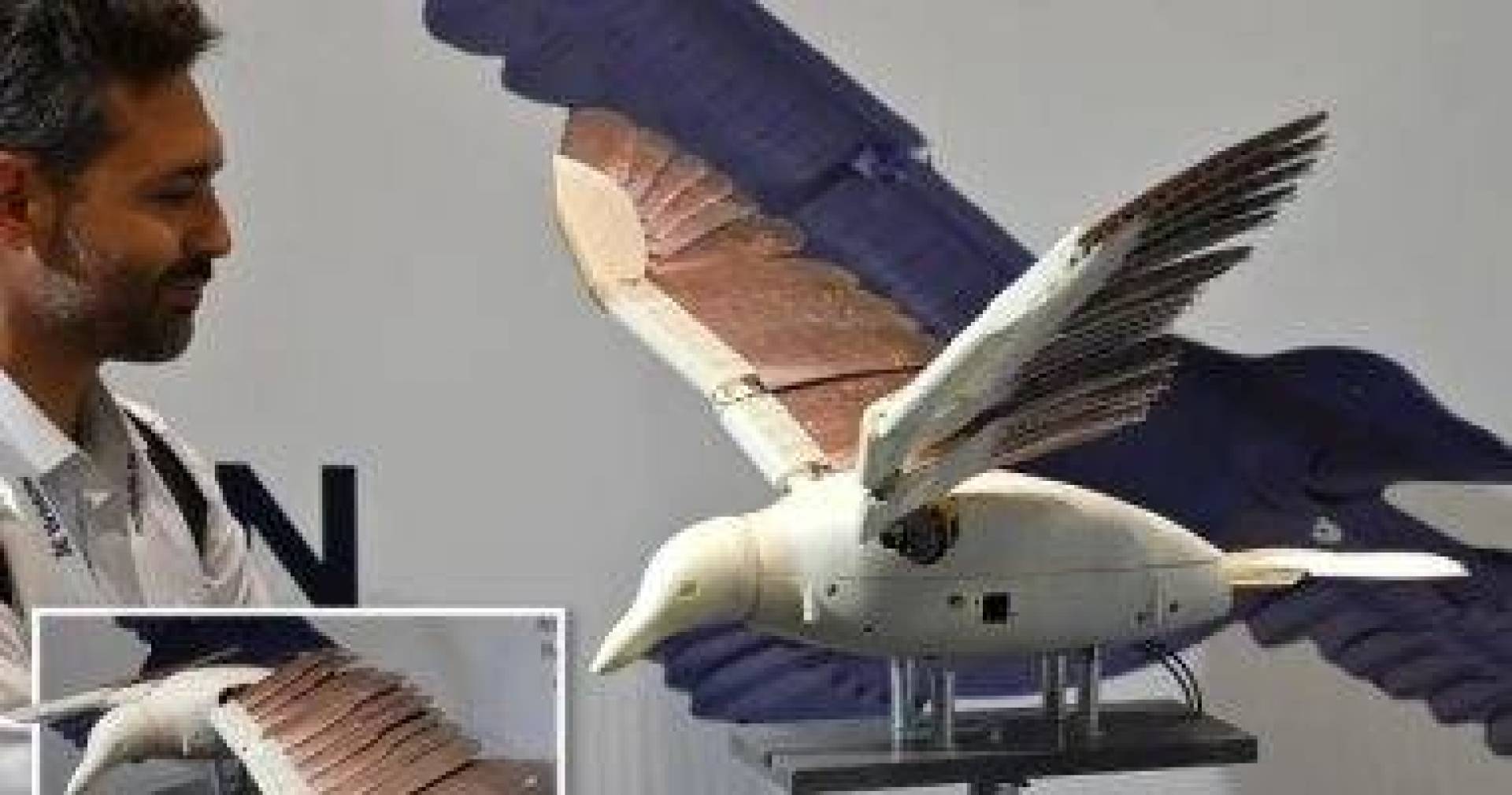 شركة آيسلندية درون 