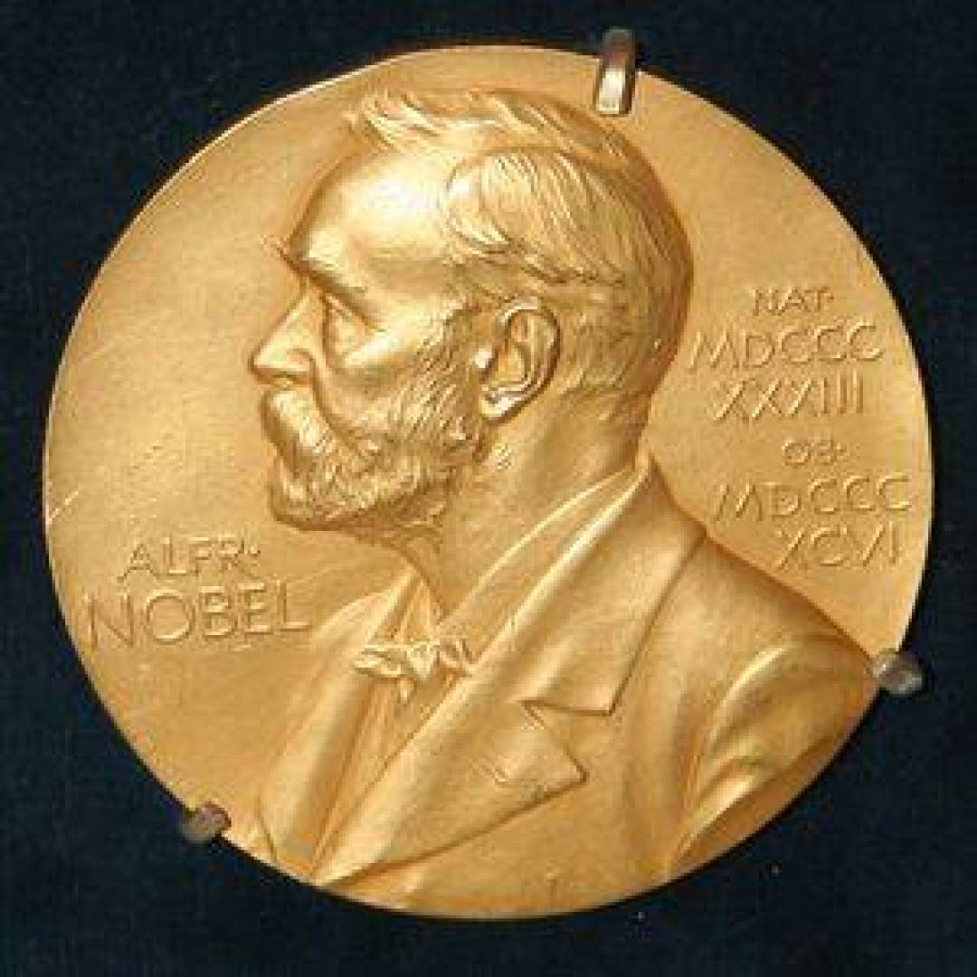 جائزة نوبل في الطب تمنح لعلماء الحمض النووي الريبوزي المرسال