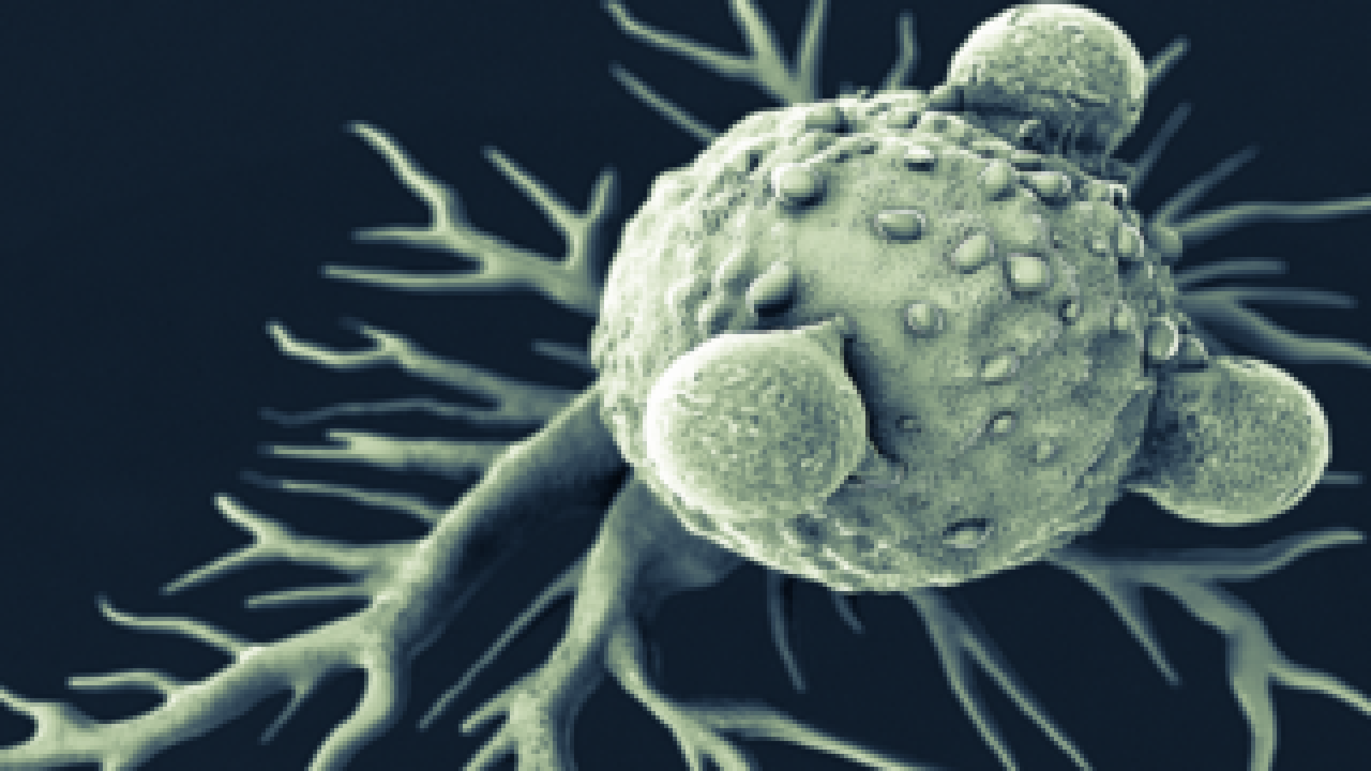 اختراق كبير: تحويل الخلايا السرطانية العدوانية إلى خلايا صحية