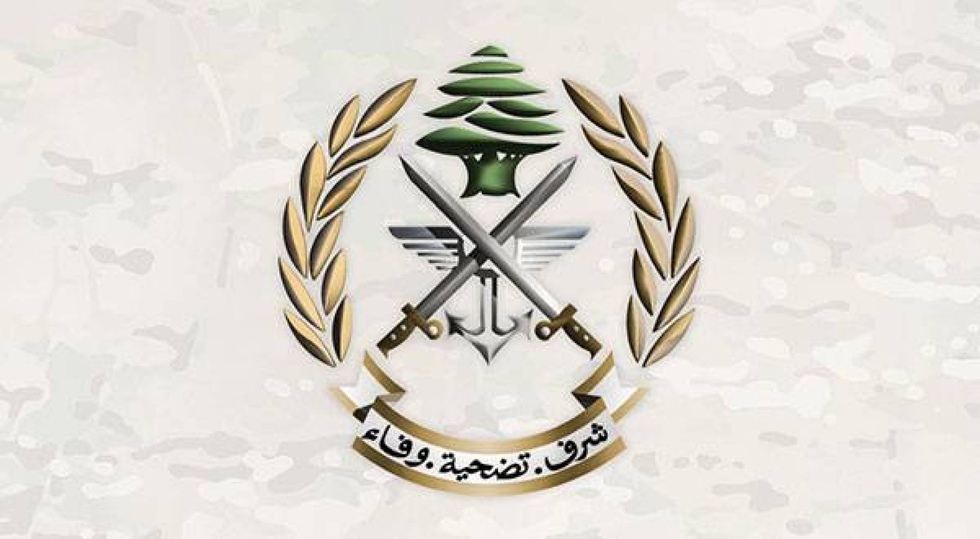 بيان الجيش اللبناني بعد إصابة عدد من قواته إثر سقوط قذائف من مخيم عين الحلوة