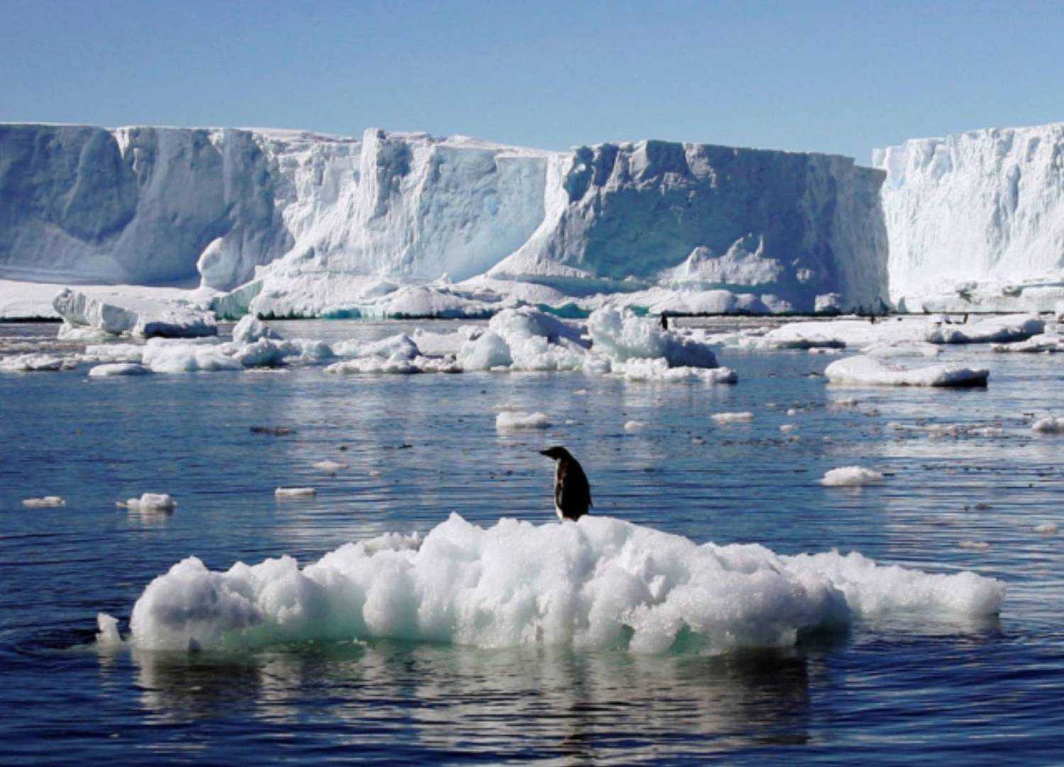 في علامة مثيرة للقلق ارتفاع درجة حرارة القارة القطبية الجنوبية أسرع بكثير من النماذج المتوقعة