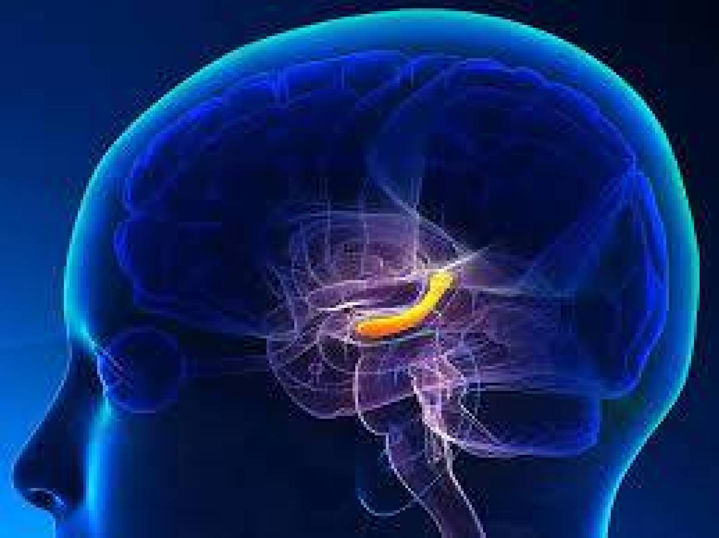 كيف يمكن للدماغ التفريق بين الذكريات الحقيقية والكاذبة؟