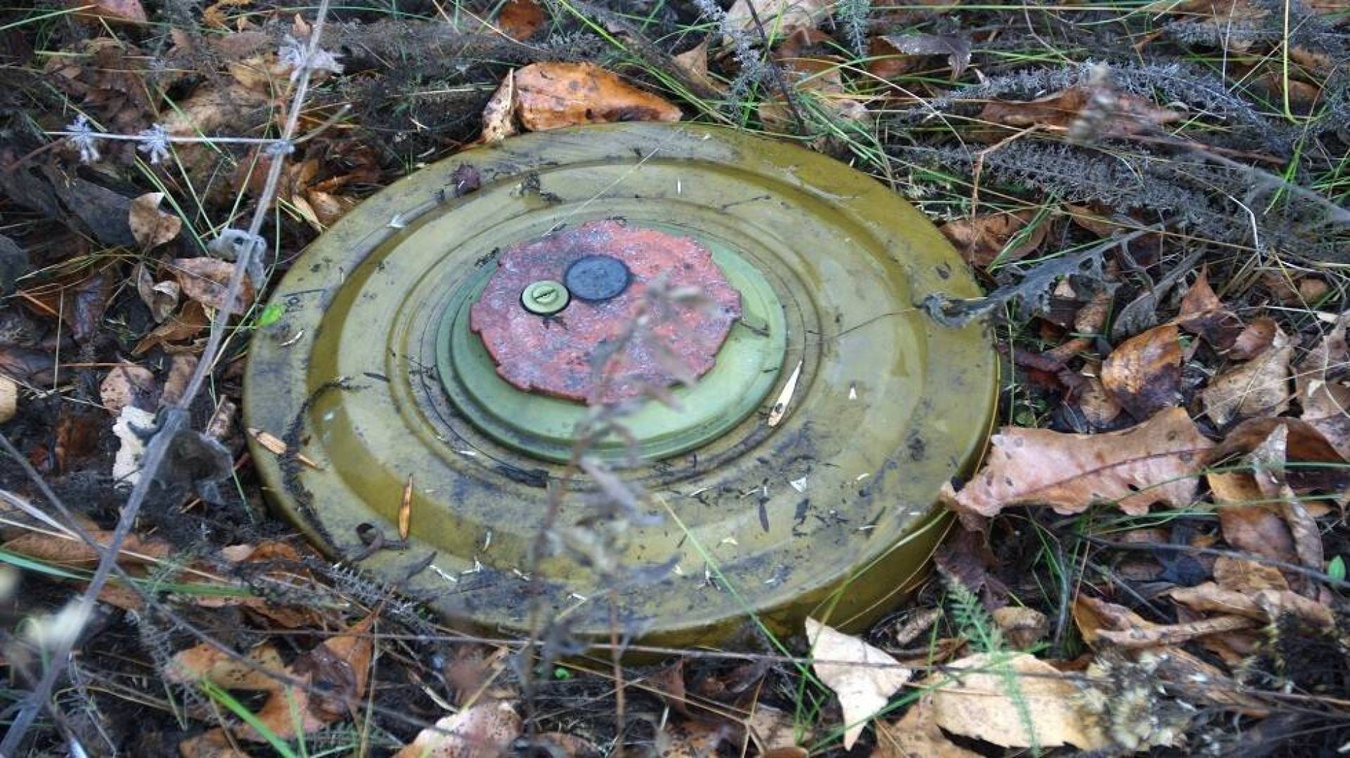 منظومة زيمليديلي: ثورة في زراعة الألغام الذكية للجيش الروسي 