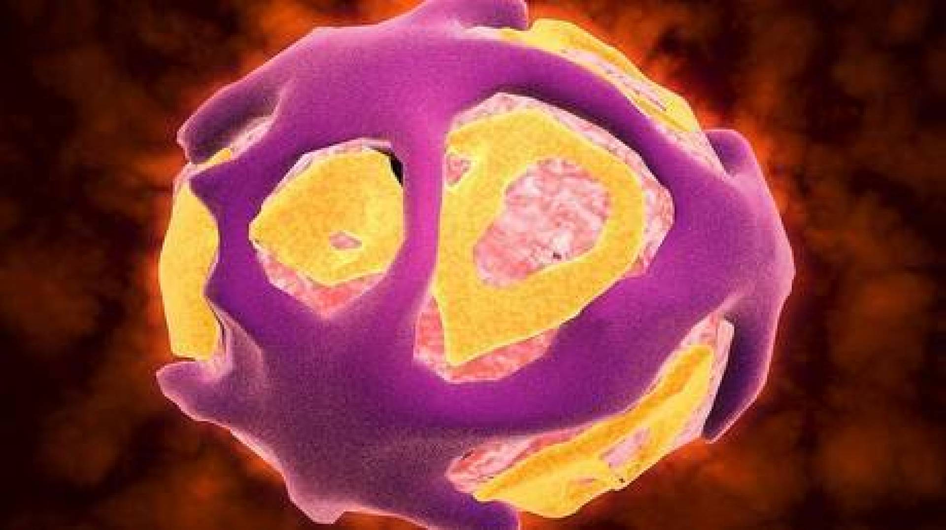 خلق الفيروسات الاصطناعية: الابتكارات الطبية وتحديات المناعة