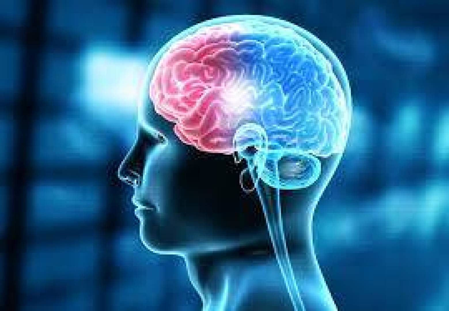 تقنية جديدة تسمح بدراسة الدماغ مستقلًا عن الجسم