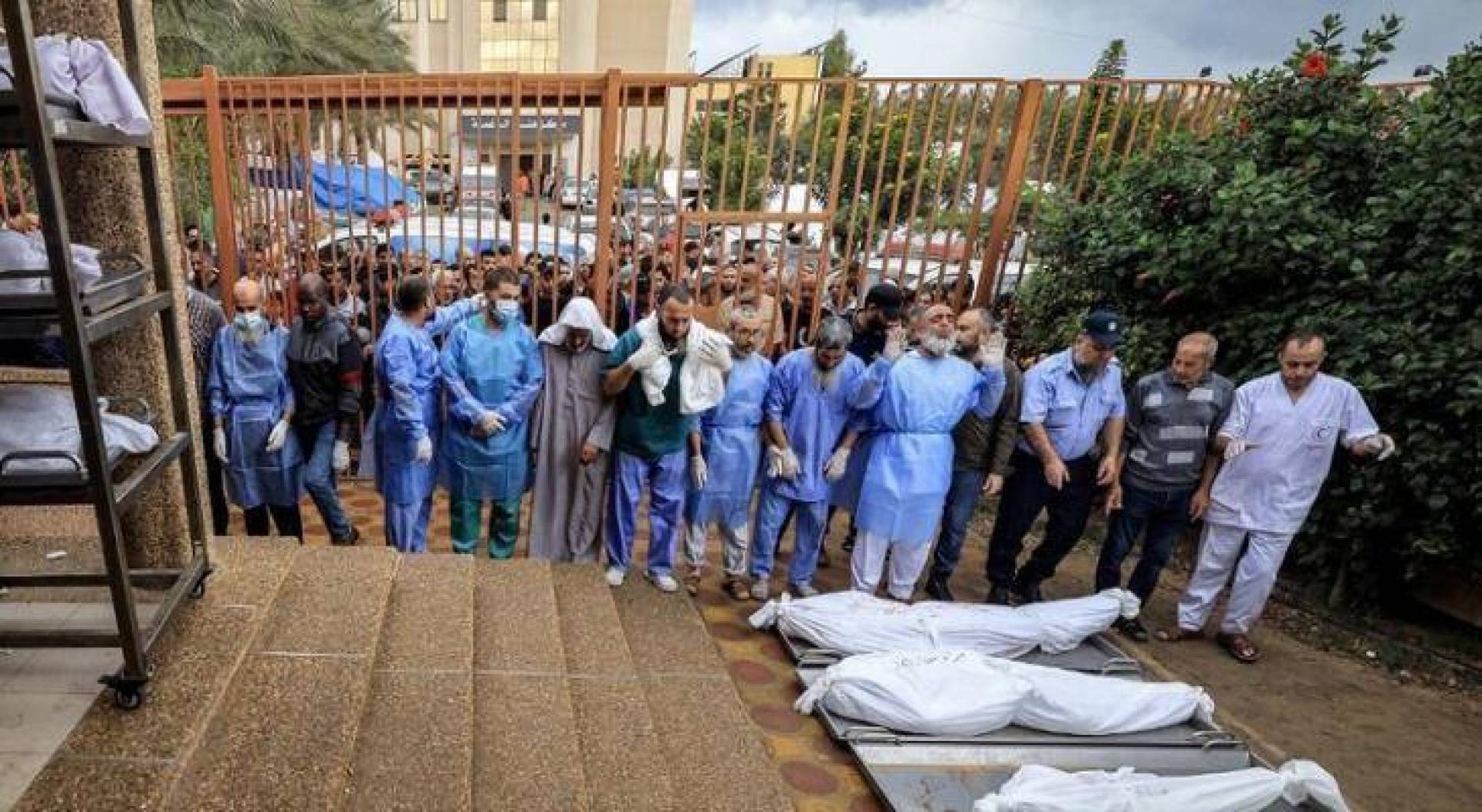 مدير مستشفى الشفاء في ‎غزة: 179 جثة دفنت في 