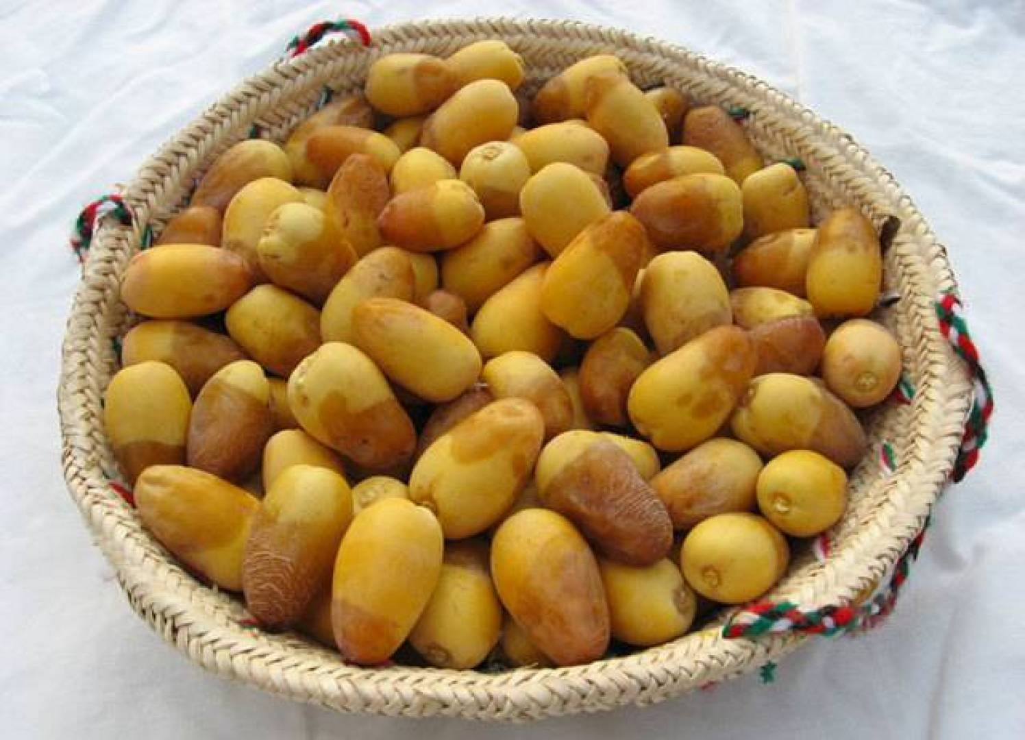 الرطب .. مصدر طبيعي غني جدا بالمغذيات فما هي فوائده على الصحة والجسم ؟